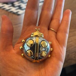 Gold and Silver Ladybug Brooch